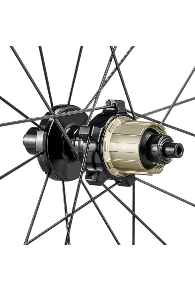 Hubsmith HS-Bumbee Wheelset