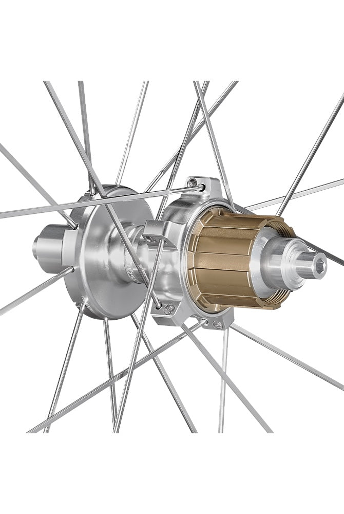 Hubsmith HS-Bumbee P. A349 Brompton P/T Line